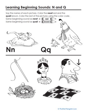 Beginning Sounds: N and Q
