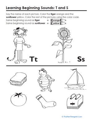 Beginning Sounds: T and S