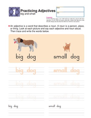 Big and Small: Practice Building Sentences