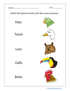 Birds in Spanish