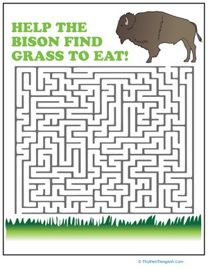 Bison Maze