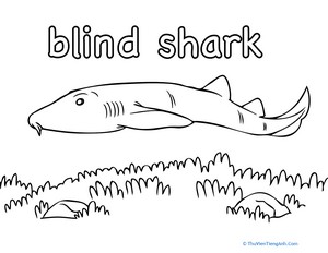 Blind Shark Coloring Page