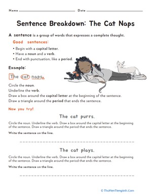 Sentence Breakdown: “The Cat Naps”