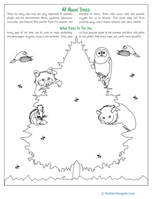 Celebrate Trees with a Coloring Activity