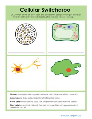 Biology Basics: Cellular Switcharoo