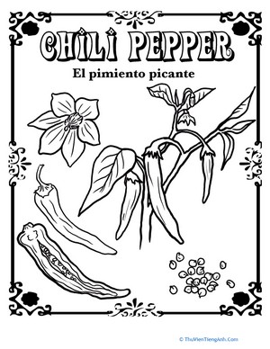 Chili Pepper in Spanish