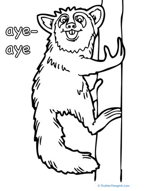 Aye-Aye Coloring Page