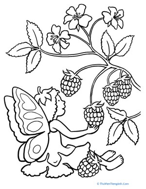 Color the Berry-Picking Fairy