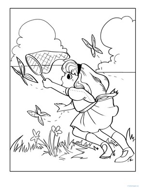 Color the Butterfly Catcher