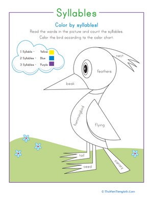 Color by Syllables: Bird