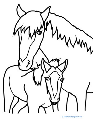 Baby Horse Coloring Page