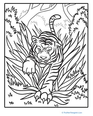 Color the Charging Tiger