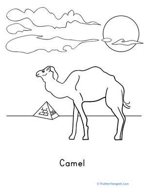Color the Desert Camel