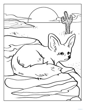 Color the Desert Fox