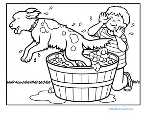 Color the Dog at Bath Time