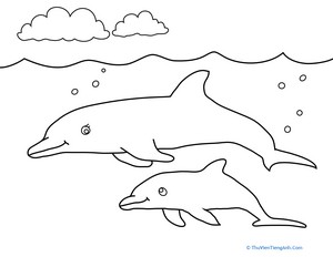 Color the Dolphin Mommy and Baby
