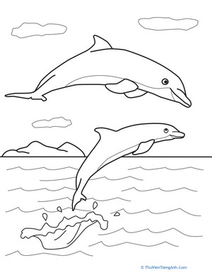Color the Dolphin Pals