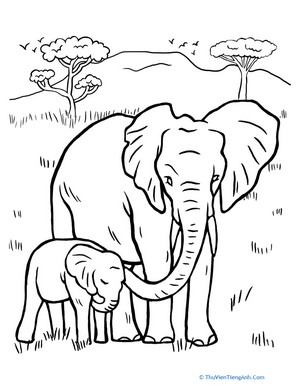 Color the Elephant Family