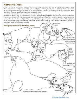 Endangered Species Coloring Page