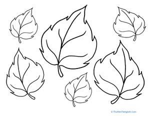 Coloring Fall: More Leaves