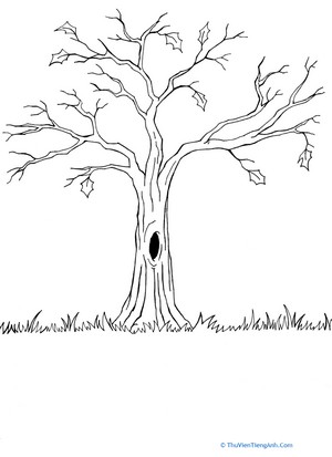 Bare Tree Coloring Page