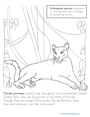 Florida Panther Coloring Page