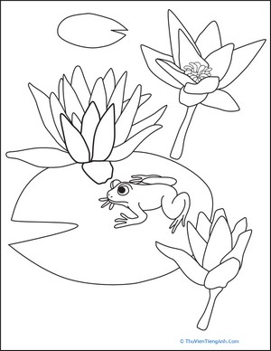 Color the Water Lilies