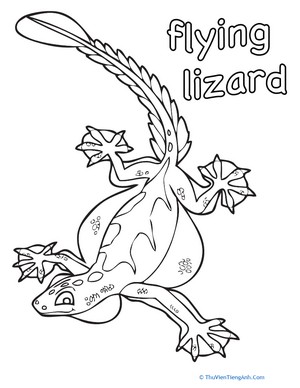 Color the Flying Lizard
