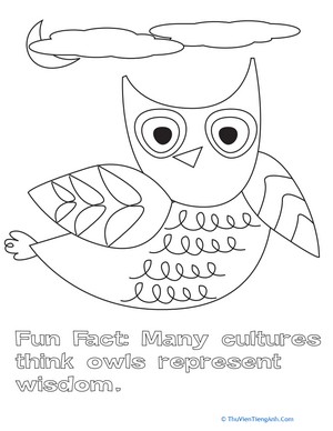 Color the Flying Owl