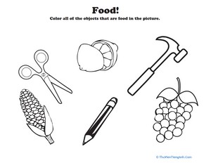Color the Food
