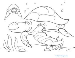 Color the Friendly Sea Turtles