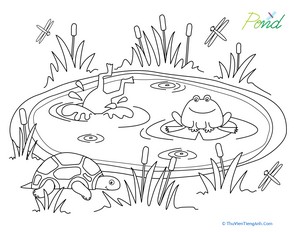 Pond Life Coloring Page