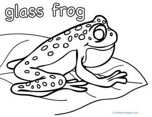 Color the Glass Frog