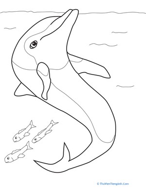 Color the Happy Dolphin