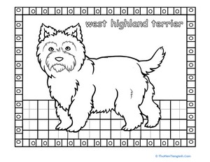 Color the West Highland Terrier