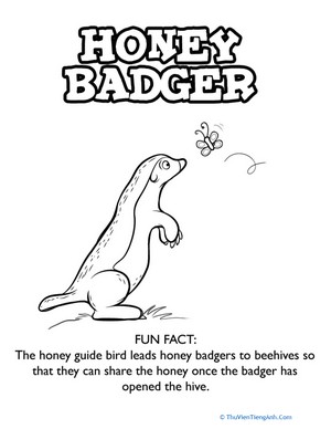 Color a Honey Badger