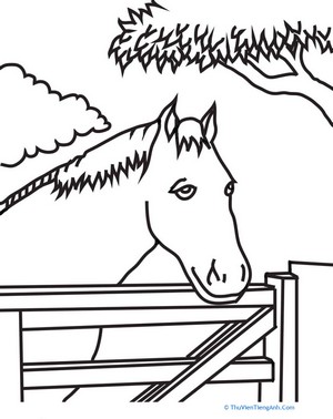 Color the Horse in the Pen