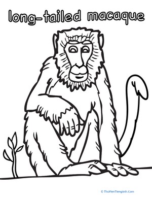 Long-Tailed Macaque Coloring Page