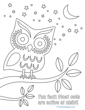 Nighttime Owl Coloring Page
