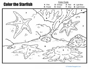 Color by Number: The Starfish