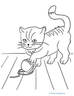 Color the Playful Kitten