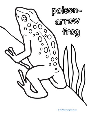 Poison Arrow Frog Coloring Page