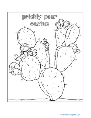 Color Prickly Pear Cactus!