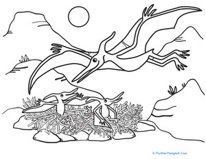 Color the Pteranodon Mommy and Babies