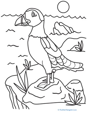 Puffin Coloring Page