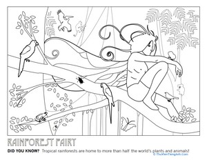 Color a Rainforest Fairy!