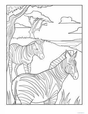 Color the Relaxing Zebras