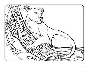 Color the Resting Lioness