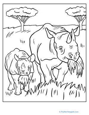 Color the Rhinos at Lunch