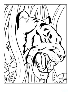 Growling Tiger Coloring Page